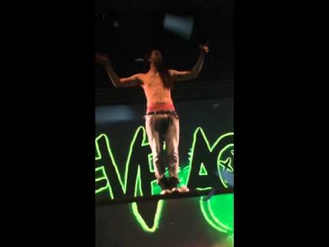 Steve Aoki Garden Rave 2015