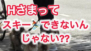 Hさまってスキーできないんじゃない??