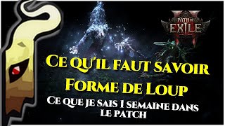 [Path of exile 2] | 0.4 |  Build Frost Wolf , une semaine après, ce qu'il faut savoir ami Druide !
