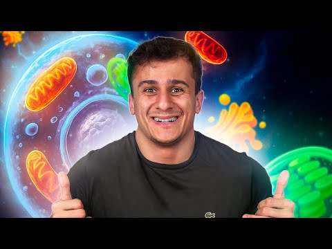 TUDO DE CITOLOGIA PARA O ENEM 2026 | DIDÁTICA MÁGICA