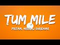 Tum Mile Pritam Neeraj Shridhar Lyrics 7clouds Hindi