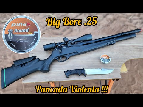 T REX 6.35 CARBINE - PRECISION AND POWER TEST LEAD RIFLE ROUND 26.38 gr VECTOR OPTCIS SCOPE