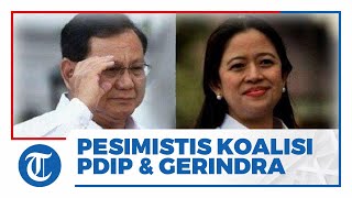 Pengamat Pesimistis PDIP dan Partai Gerindra Berkoalisi Dukung Prabowo- Puan
