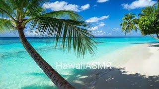 Hawaii Travel 🌴 Beautiful beach to Relax De-stress Sleep Tinnitus | Sommeil Anxiété Acouphènes