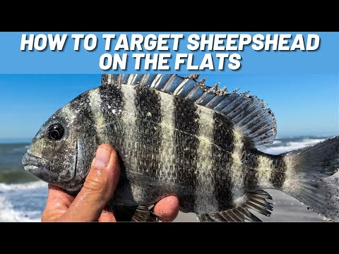 Fishing Flats for Sheepshead on YouTube
