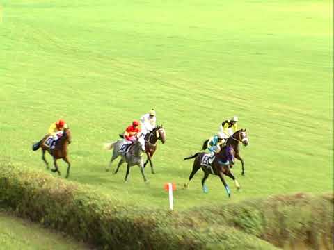 NE, 20. 8. 2017, 7. dostih - VELKÁ CENA GALOPP NEWS - VELKÁ CENA NETOLIC