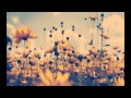Viceroy - Chase Us Around (Feat Madi Diaz ...