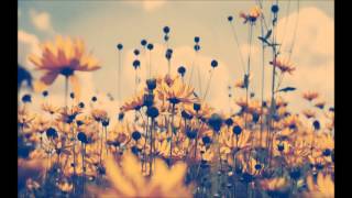 Viceroy - Chase Us Around (Feat Madi Diaz)