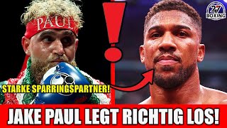 AJ hört auf, wenn er VERLIERT… JAKE PAUL holt sich WELTKLASSE- Boxer ins CAMP!!! 247 Boxing