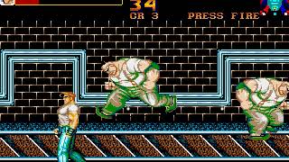 Atari ST Game: Final Fight (1991 U.S. Gold)