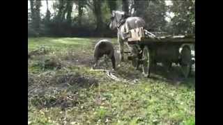 preview picture of video 'Luigi Verri, l'artigiano dei campi - Belgioioso Racconta'