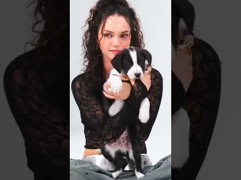 Katseye naming their puppies🐶🐾