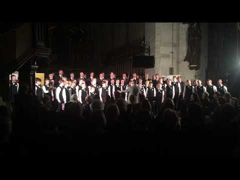 TLÜ Meeskoor ja poistekoor Kalev “Ta lendab mesipuu poole”