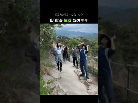 악뮤 회사 복지 #등산 #소문의낙원