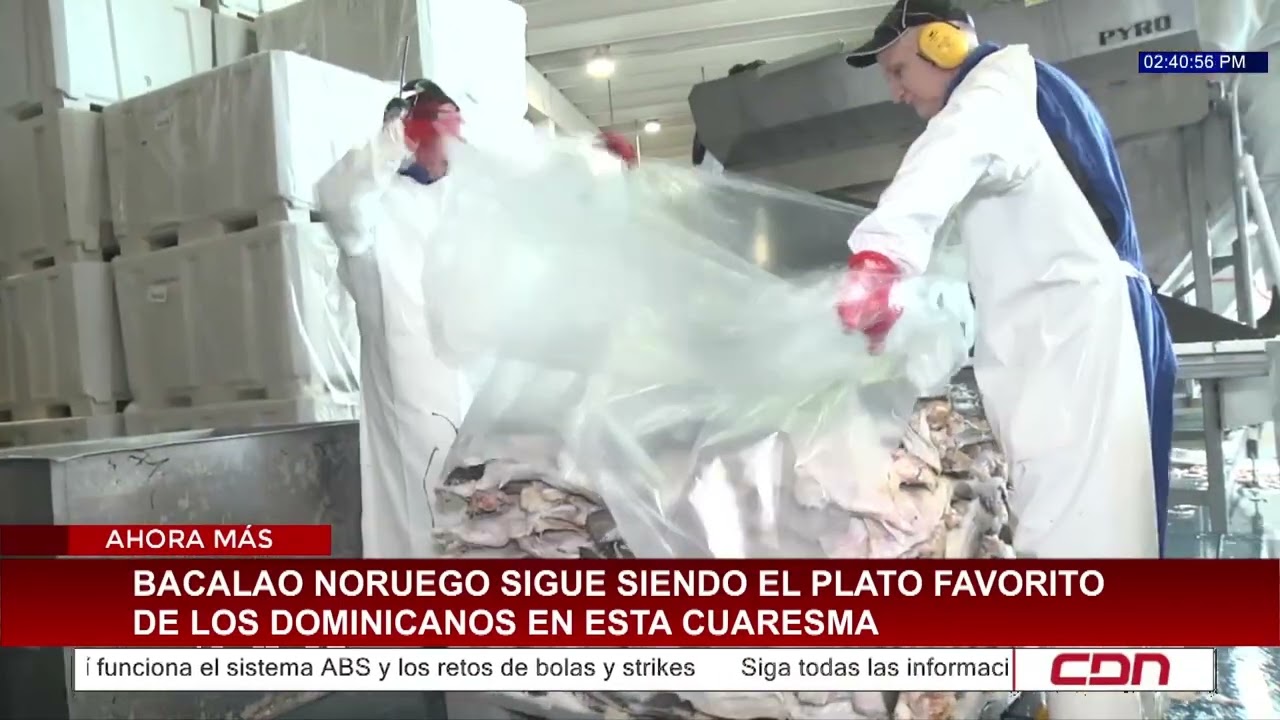 Bacalao se consolida como plato clave en Semana Santa