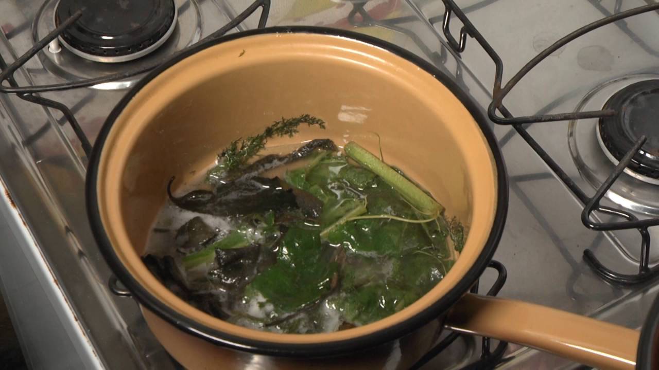 Oficina ensina a grupo de idosos a receita de uma "Pomada Milagrosa" | Programa Terra Sul