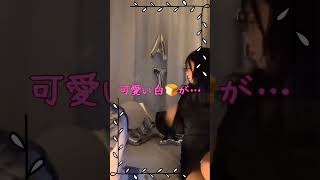 配信中のパンチラw