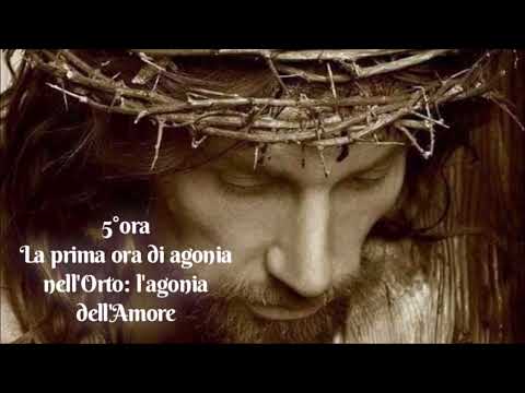 Le ore della Passione - 5°ora - La prima ora di agonia nell'orto di Getsemani: l'agonia dell'Amore