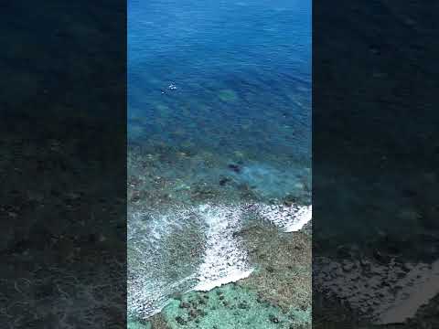 SURFING MENTAWAI CRYSTAL BLUE AS IT GETS #mentawai #surfing #family #indonesia #waves #tropical