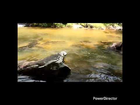 Olha que coisa mais linda essa cachoeira de Bonito Pernambuco