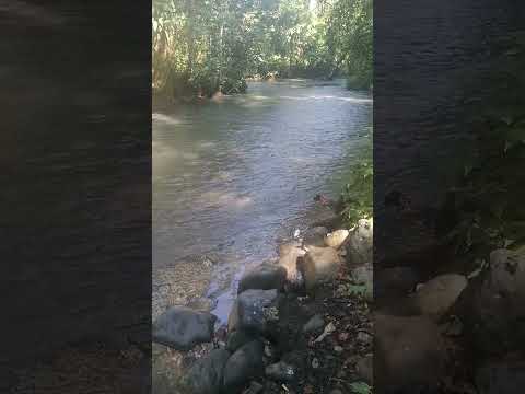 rio las Escobas, El Estor  Izabal