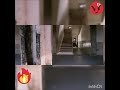 Arjun Reddy Holi Scene