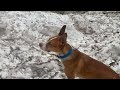 Wet Avalanche in the Mount Naomi Wilderness   4K