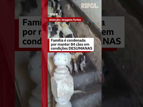 Família britânica é condenada por manter 84 cães em condições desumanas