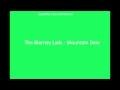 Irish Drinking Songs- The Blarney Lads - Mountain ...