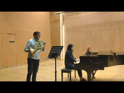 Mozart Horn Concerto No. 4 in E-flat major, K. 495. Video 1