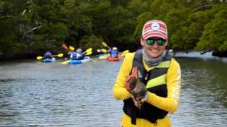 Paddle Marco