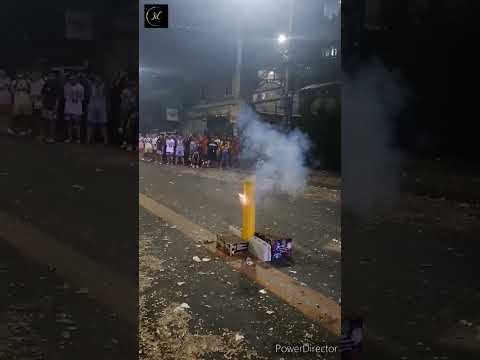 6 inch Bombshell (Silver Palm tree w/ Silver Tail) #shorts #newyear #foryou  #fireworks #philippines