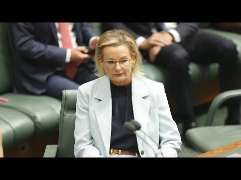 Ley’s leadership in question as some Liberal Party members back 2050 net zero target