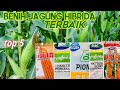 5 BENIH JAGUNG HIBRIDA TERBAIK REKOMENDASI UNTUK PETANI JAGUNG