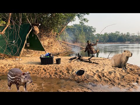 Só PACA BRUTA! Fiz uma ceva próximo ao ACAMPAMENTO olha só quanto ANIMAL, teve PEIXE de couro FRITO😁