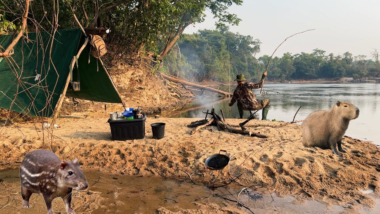 Só PACA BRUTA! Fiz uma ceva próximo ao ACAMPAMENTO olha só quanto ANIMAL, teve PEIXE de couro FRITO😁