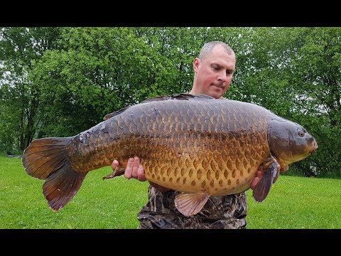 Ep156 - 42lb Common New pb @ Kingfisher Social