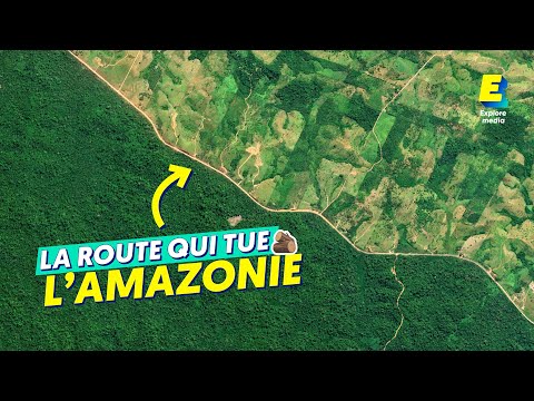 Comment cette route a détruit la forêt amazonienne ATLAS