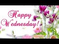 Good Morning Wednesday Flower Images Good Morning Status Good Morning Pics