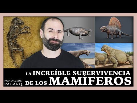 El Origen de los Mamíferos