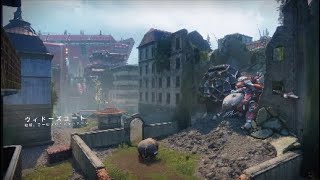 【Destiny2】手に汗握る試合！！ライフリミットフリーランス