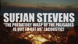 Sufjan Stevens &quot;The Predatory Wasp of the Palisades is Out to Get Us&quot; (ACOUSTIC) (AUDIO)
