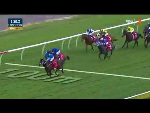 2017 ATC George Main Stakes
