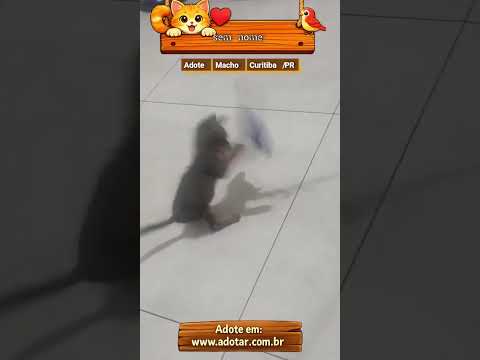 Vídeo de sem nome 