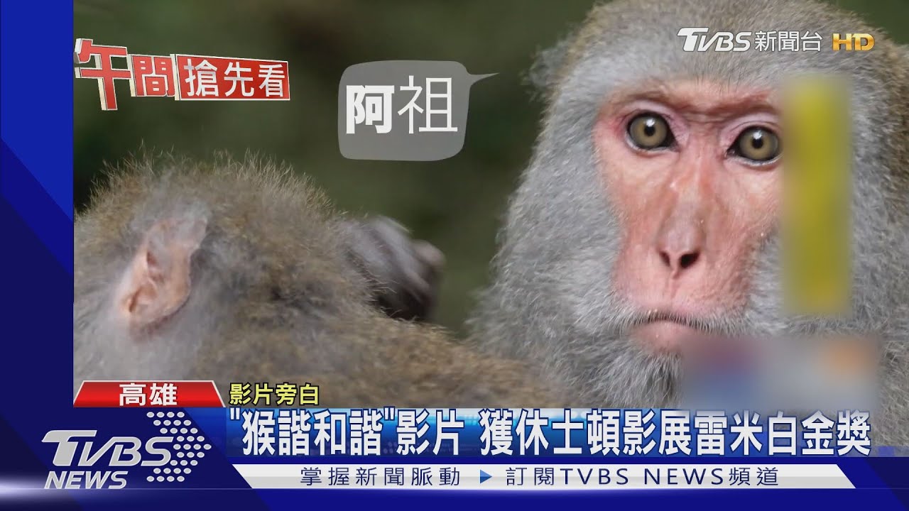 「猴諧和諧」影片 獲休士頓影展雷米白金獎