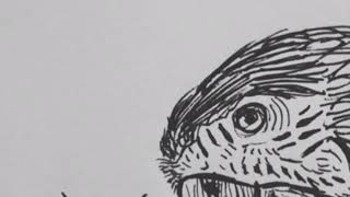 Rolled Over Music Video