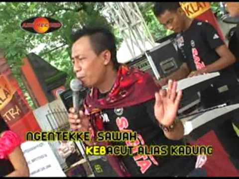 Indah Andira - Sakit Rindu | Dangdut (Official Music Video)