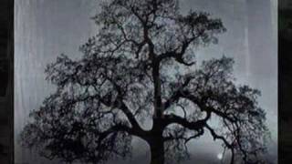 Cradle of Filth-Saffron&#39;s Curse