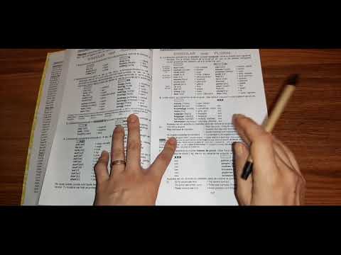 Lecția # 052 - PLURALUL SUBSTANTIVELOR - part 2: excepții mari, pluralul neregulat, pluralul străin