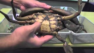 How Full Is Your Muddy?